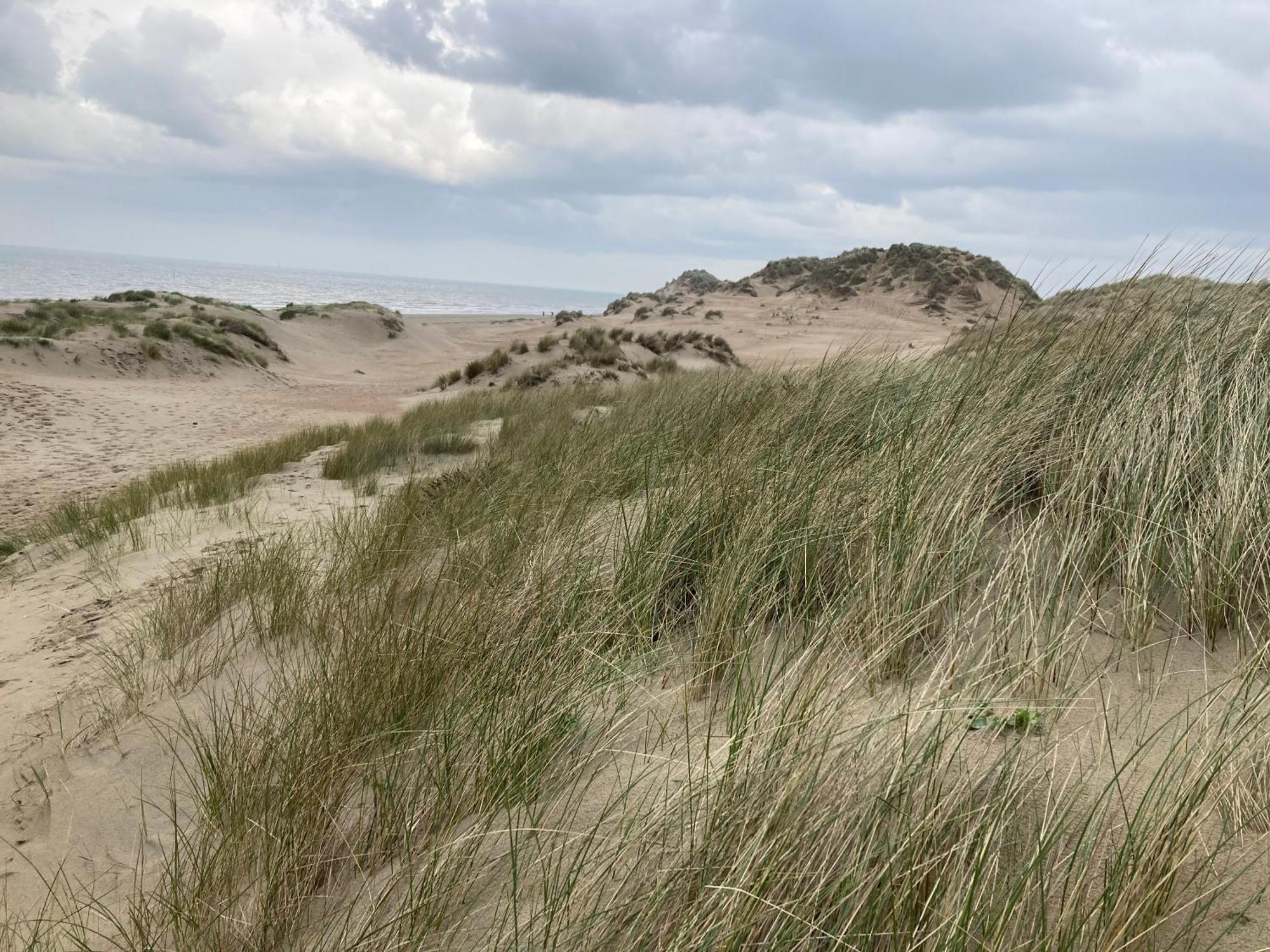 Terduinen Villa Oostduinkerke Buitenkant foto